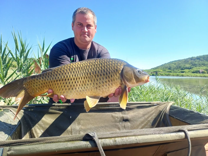 Varga Gábor