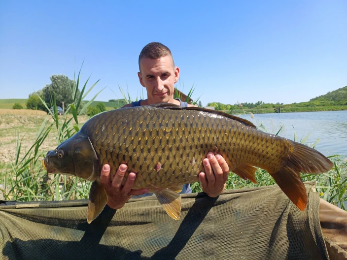Faltinszi Dávid
