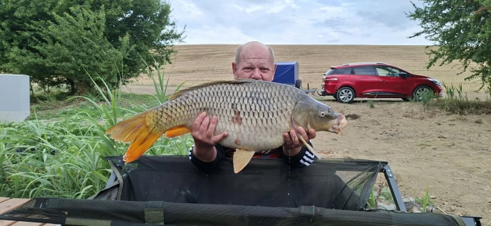 Árpád