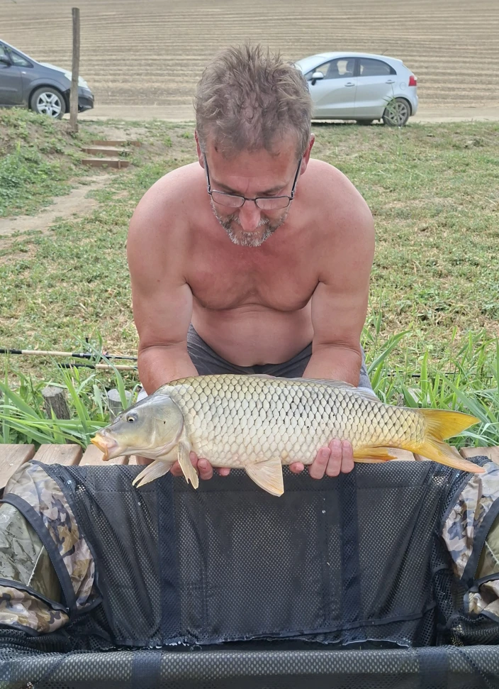 Kiss Csaba