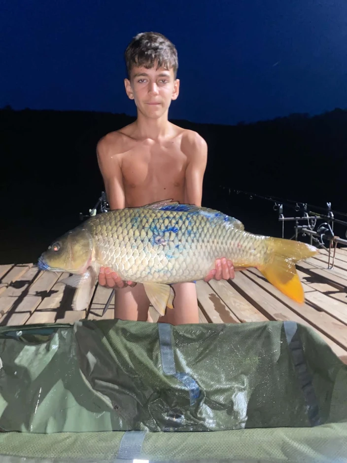 Bálint