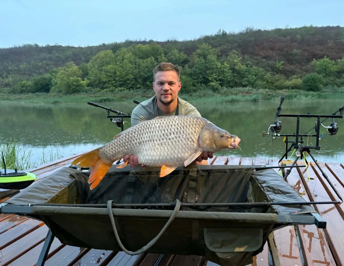 Dávid