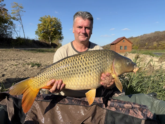 Szegedi Zsolt