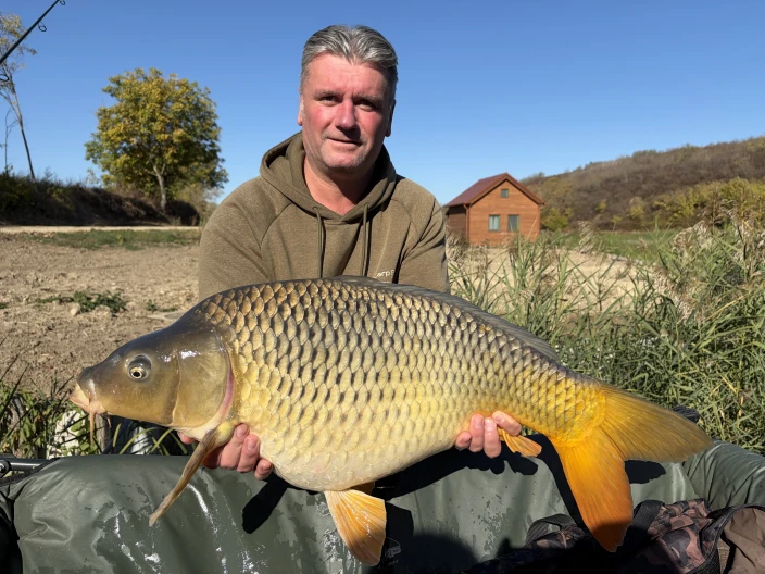 Szegedi Zsolt