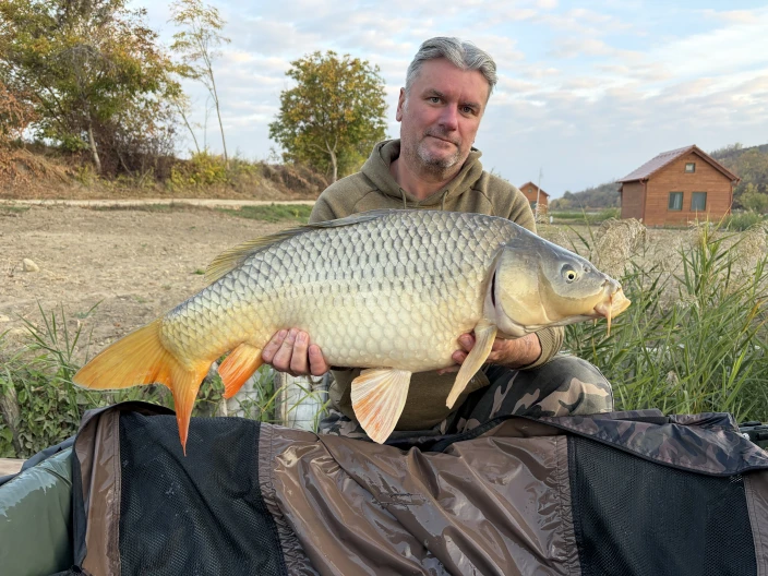 Szegedi Zsolt