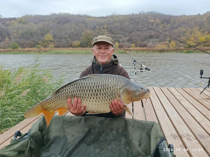 Agócs László