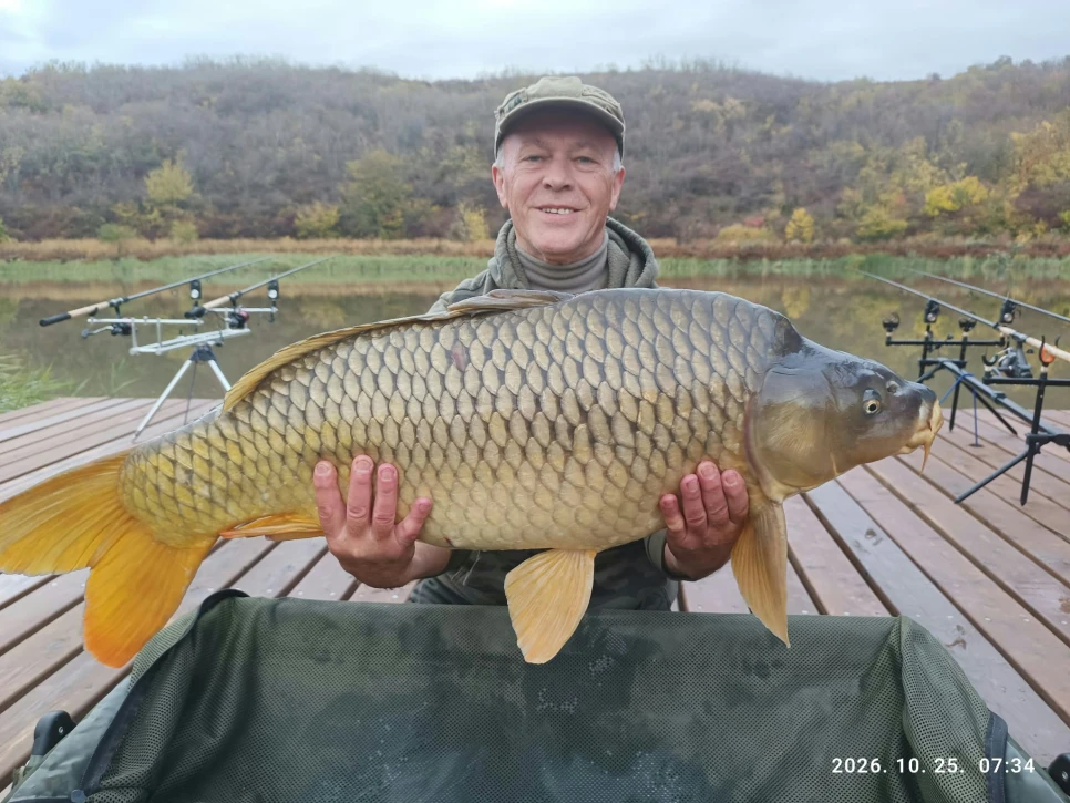 carp